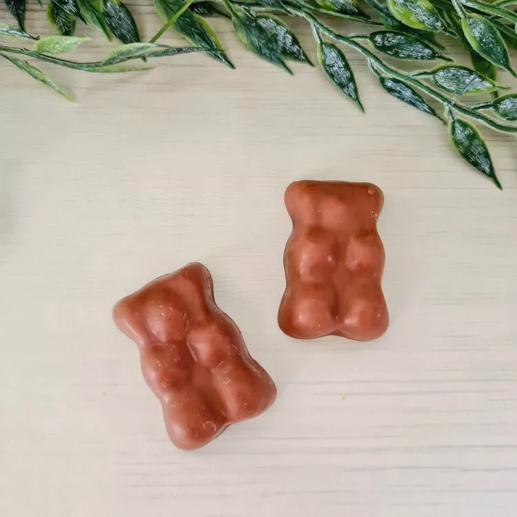Fondant Ourson chocolat